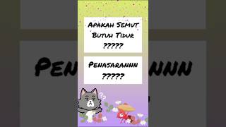 Apakah semut butuh tidur? 🐜🤔❓ Penasarannn??? #viral #lucu  #ngakak #kocak #kocakabis #fyp #fypツ