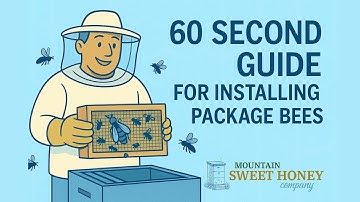 60 Second Guide to Installing a Package of Bees