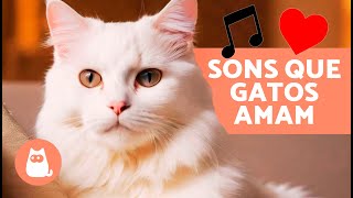 7 SONS QUE OS GATOS ADORAM  | Sons para ATRAIR seu GATO ✅