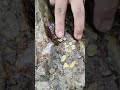 The experiment of searching for gold in the rocks turned out to be satisfactory.⚒️ #gold #romance