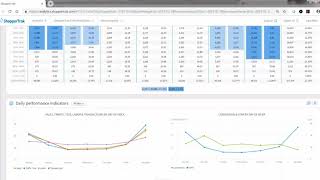ShopperTrak - STAn Overview