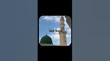 تلاوة خاشعة للشيخ سيد سعيد#قرآن #تلاوة #سيد_سعيد # من سورة ؟؟ #اكسبلور