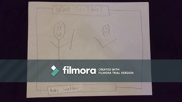 ITIS 3150 - Project 2: Video Prototype