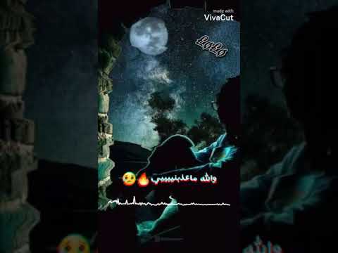 حالات واتس اب بحبو والله مش ناسي