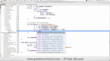 go web session & comma ok idiom