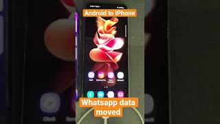 Android to iphone whatsapp data transfer #whatsapp #android #iphone #androidtoiphone #shorts screenshot 5