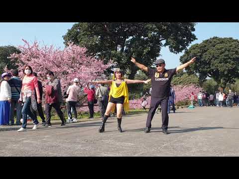 小辣椒遊賞櫻花1~淡水天元宮後山~吉魯巴舞曲