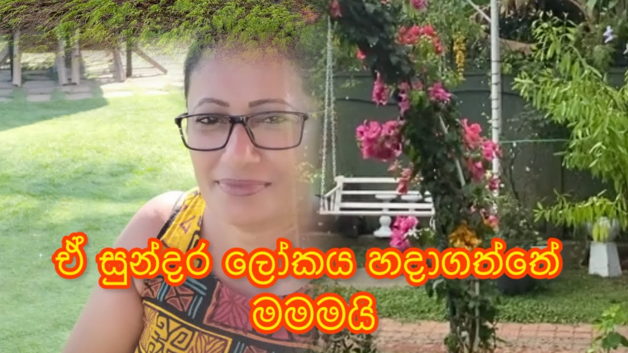 බැල්කනියේ ඉදන් පහල මිදුලේ දකින ලස්සන😍