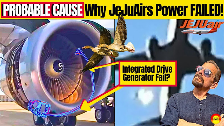 MYSTERY SOLVED? Did Bird Strike DESTROY Only Remaining Power Generator On JeJuAir Flight 2216?