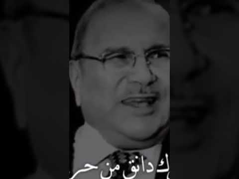 الحقيقة المرة