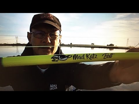 Catfishing With Mad Katz 