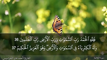 الصفحة 502 سورة الجاثية وسورة الأحقاف بصوت القارئ المهندس أحمد فايز الحراسيس