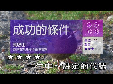 阿卿-成功的條件-KTV