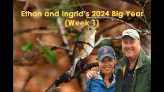 Ethan and Ingrid's 2024 Big Year (Week 1)