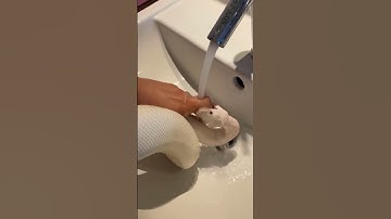 Python Hangs on to Handlers Finger || ViralHog