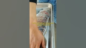 Slicing Fish with Precision: Unveiling the Fish Slicer Machine for Perfect Fillets!