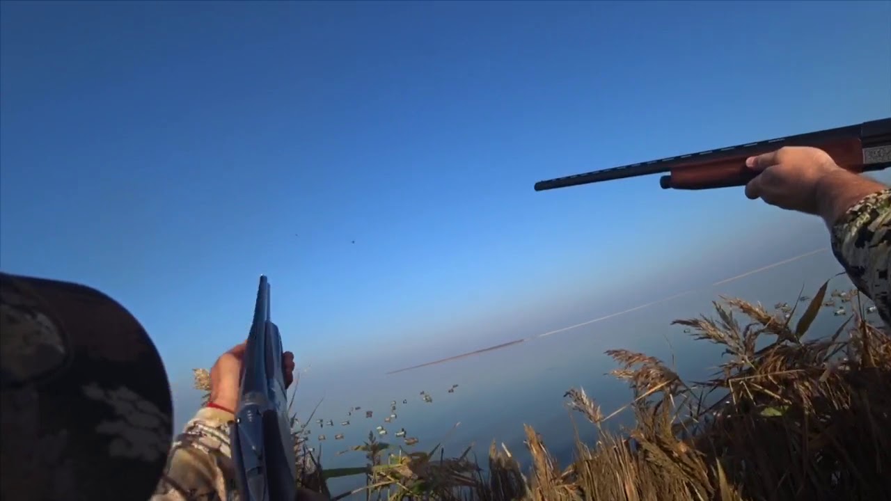 Охота на утку#2019