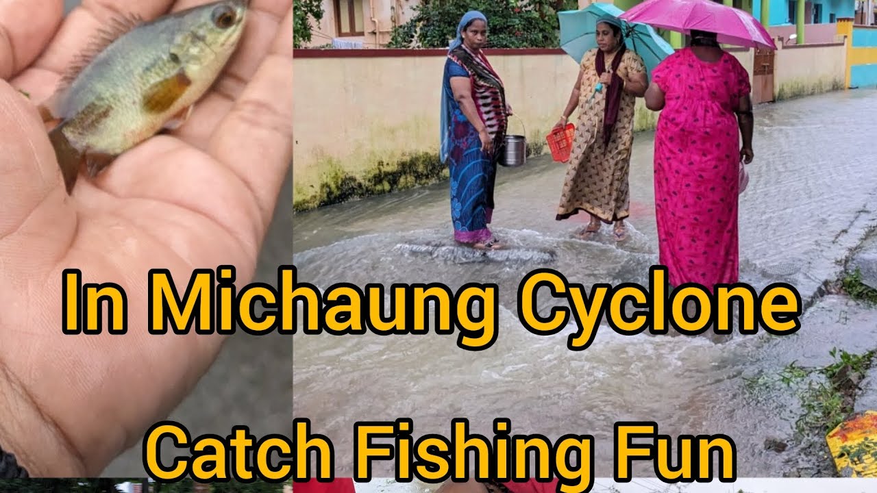 Cyclone Raining Fish Fish Catching during Michaung Rainfall cyclone by group of ladies| Fish ...