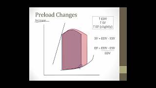 PV loops || Boards and Beyond || Cardiology 