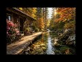Find Your Inner Peace – 1 Hour Relaxing Music &amp; Nature Sounds 🌿