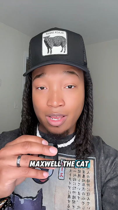 Maxwell The Cat is a Menace to Society