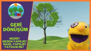 GERİ DÖNÜŞÜM NEDİR? NEDEN VE NASIL YAPILIR? | OKUL ÖNCESİ DÜNYA ÇEVRE GÜNÜ Resimi