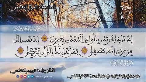 عبد الرحيم النابلسي سورة النازعات