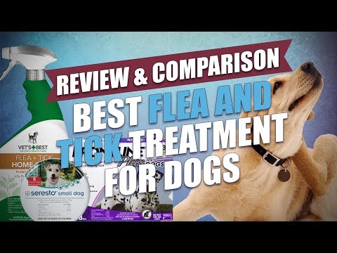 best-flea-and-tick-treatment-for-dogs-comparison-(2018)