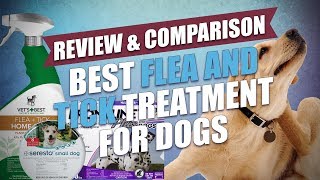 Best Flea and Tick Treatment for Dogs Comparison