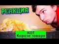 РЕБОРН СМОТРИТ ► КОРОЧЕ ГОВОРЯ, КОТ ► РЕАКЦИЯ НА ТИМ ТИМ