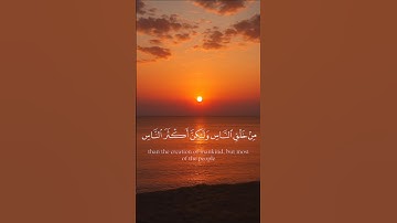 تلاوة هادئة لآيات من القرآن الكريم #تلاوة_خاشعة #اكسبلور #قران_كريم #راحة_نفسية #لايك