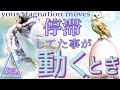 停滞してた事が動くとき🔮気になったら受け取るタイミング👍３択占い🔮恋愛・仕事・金運・全体運^ ^🔮タロット＆オラクル🍏３択占い🧚