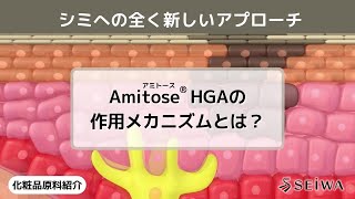 【化粧品原料講座】新しいメカニズムでシミにアプローチする成分「Amitose（アミトース） HGA」