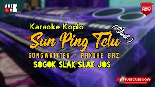 Sun Ping Telu Cover Karaoke Koplo || New Set 313 Nusantara V22