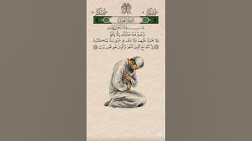سورة النحل #القرآن_الكريم #المصحف