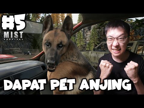 Video: Cara Mengobati Batuk Kennel pada Anak Anjing yang Baru Lahir