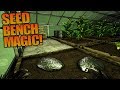 SEED BENCH MAGIC! | ARK: Aberration | Let's Play ARK Aberration Gameplay | S01E20 SEED BENCH MAGIC! | ARK: Aberration | Let's Play ARK Aberration Gameplay | S01E20