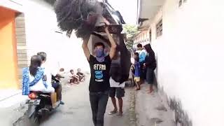 Download lagu Obrog mayung wetan Obrog mayung wetan