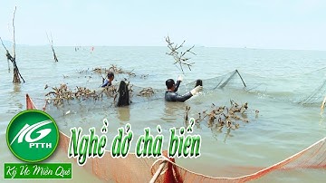 Ký ức miền quê l Nghề dỡ chà biển l THKG