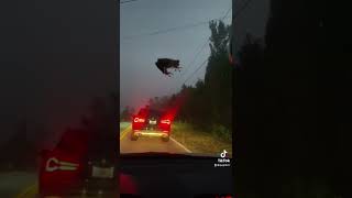 Frog Takes FALL DAMAGE!!!