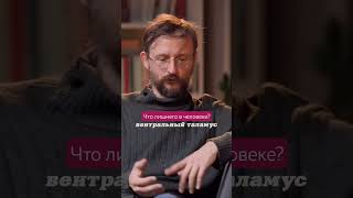 Что лишнего в человеке? #антропология#научпоп#биология#анатомия#дробышевский