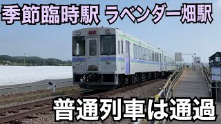 【ラベンダー時期限定の臨時駅】富良野線 キハ150形 普通 旭川ゆき通過@(臨)ラベンダー畑