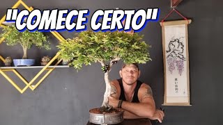 The Secret to Growing a Small Jaboticaba Bonsai (Size and Planning)