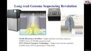 Long-Read Sequencing, Structural Variation and Disease.