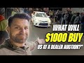There are so many cheap cars at this dealer auction in florida