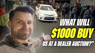 There are SO MANY CHEAP CARS at this Dealer Auction in Florida! screenshot 2