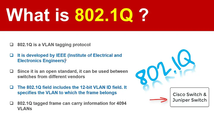What is 802.1Q Protocol?