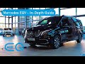 Mercedes EQV 300 | In depth Guide