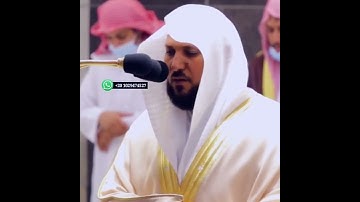 ارح قلبك❤😴//تلاوه هادئه جميله جدا//حالات واتس اب قرآنيه❤//ستوريات انستا قرآنيه قصيره💛❤