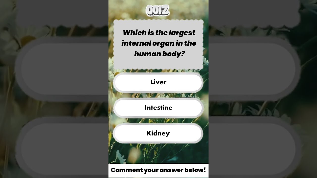  Answer Revealed In Next Post Short Shorts Quiz Learning Mindbendingquiz English Onlinequiz